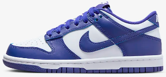 Nike Dunk Low Blue/White